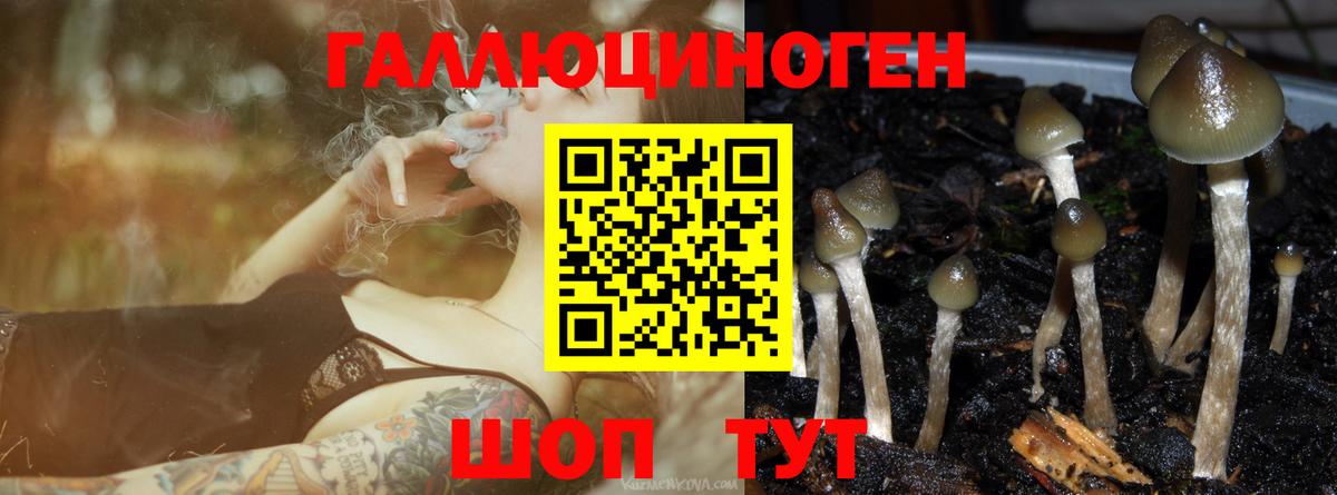 Галлюциногенные грибы Cubensis  Вход с VPN  Ростов-на-Дону 